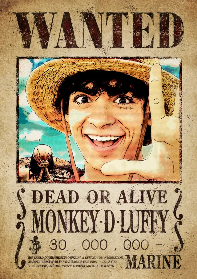 Wanted luffy